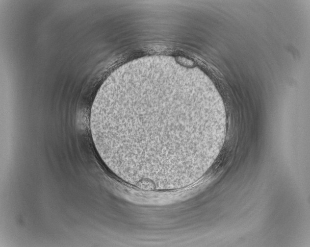 X0000114680048200912021124