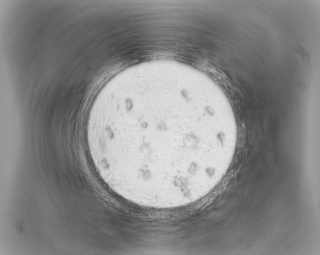 X0000114680049200912021123