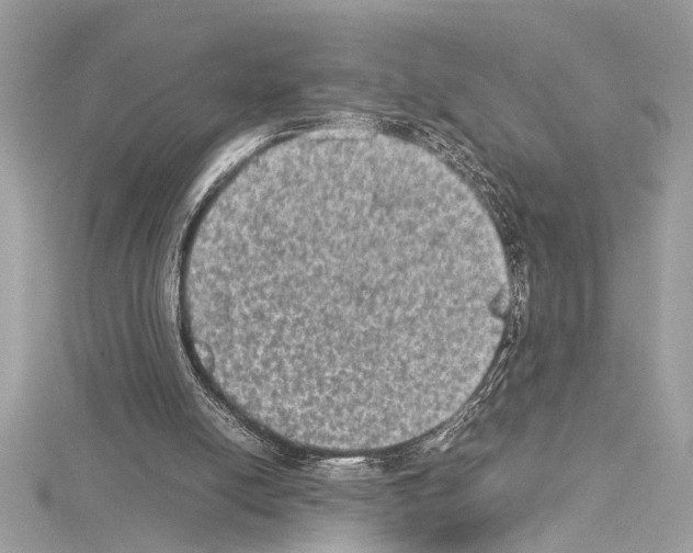 X0000114680054200912021123