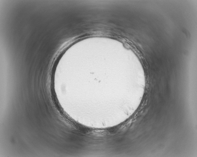 X0000114680055200912021123