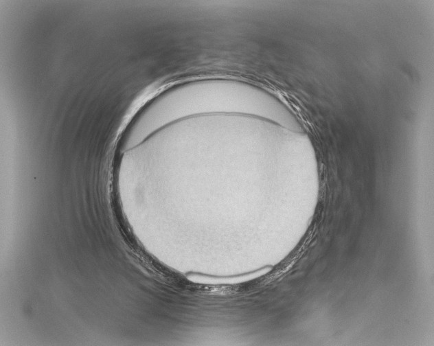X0000114680056200912021123