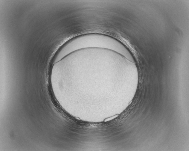 X0000114680060200912021123