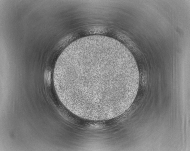 X0000114680070200912021123