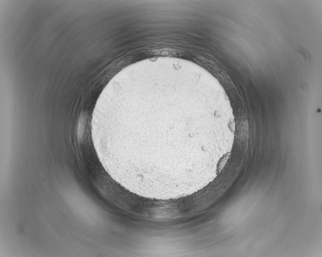 X0000114680095200912021124