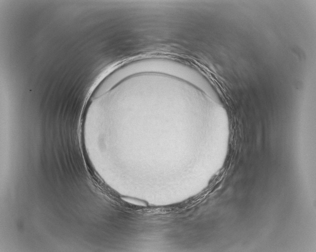X0000114680100200912021123