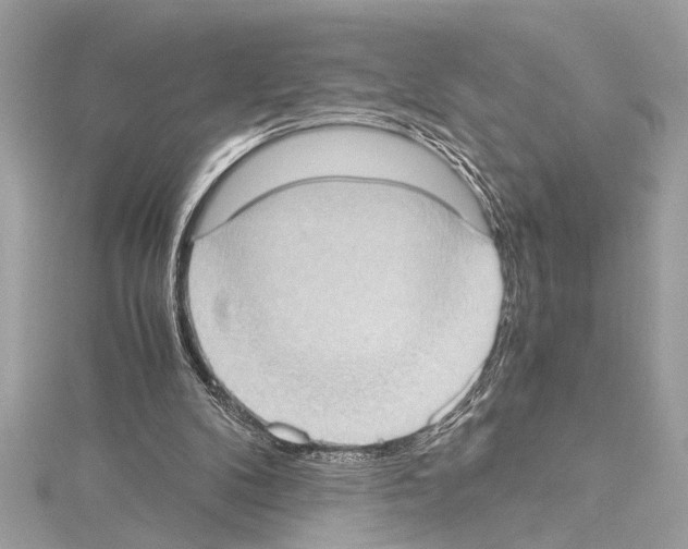 X0000114680104200912021123