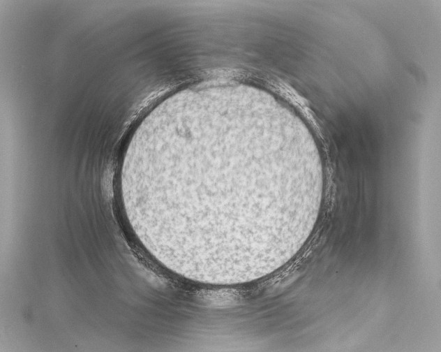 X0000114680106200912021123