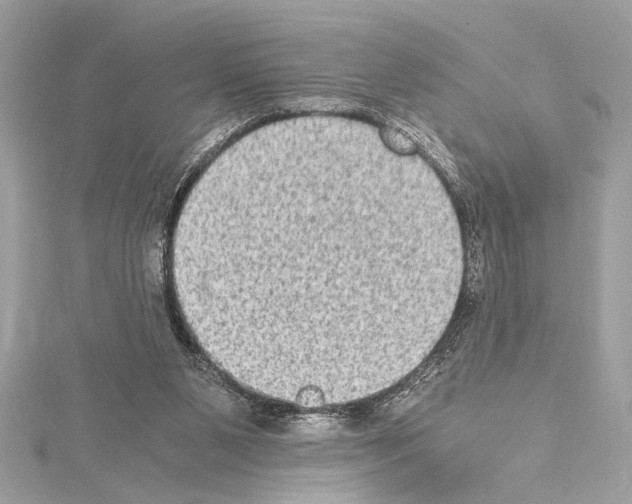 X0000114680111200912021123