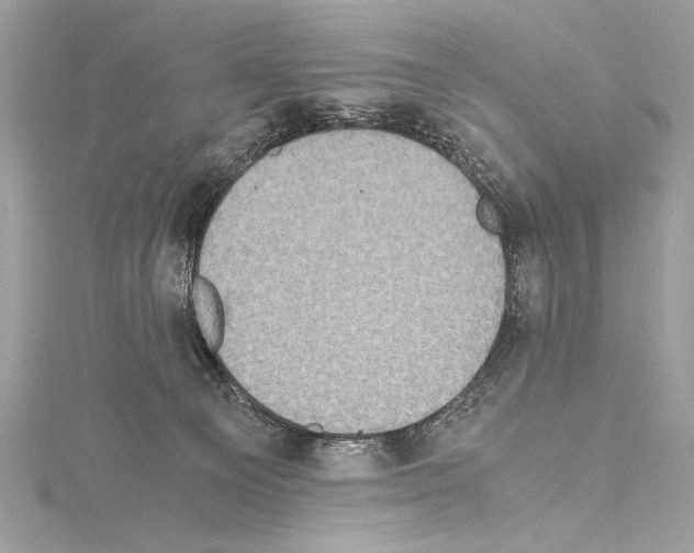 X0000114680129200912021123