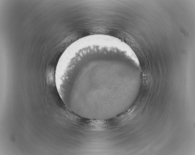 X0000114680143200912021122