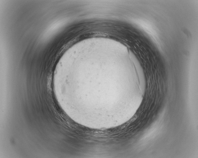 X0000114680146200912021122
