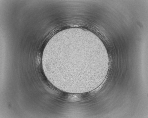 X0000114680174200912021122