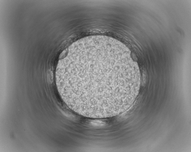 X0000114680183200912021122