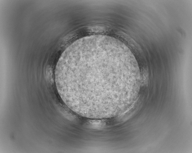 X0000114680187200912021122