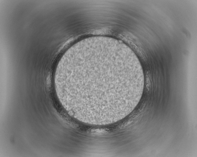 X0000114680208200912021122
