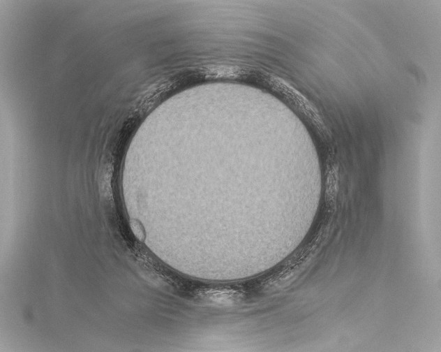 X0000114680209200912021122
