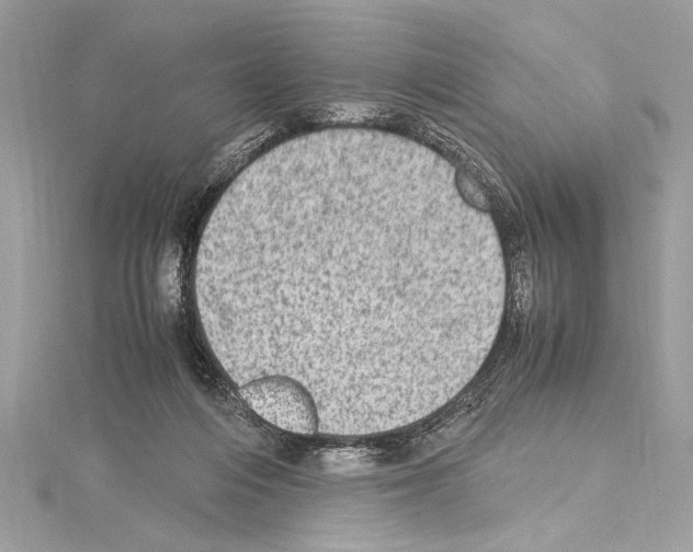 X0000114680216200912021121