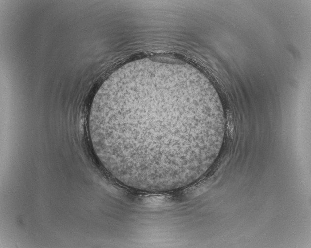 X0000114680235200912021121