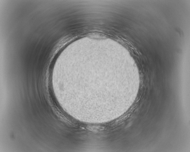 X0000114680242200912021121