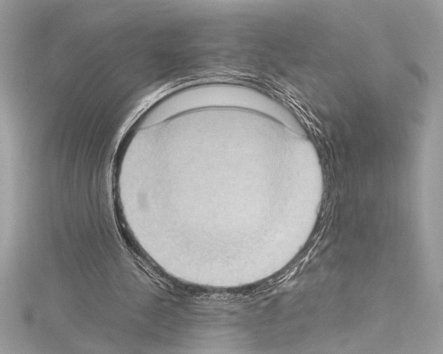X0000114680244200912021121