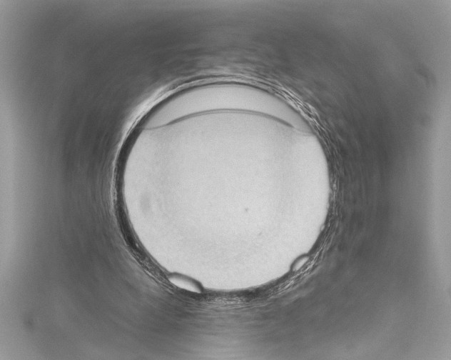 X0000114680248200912021121