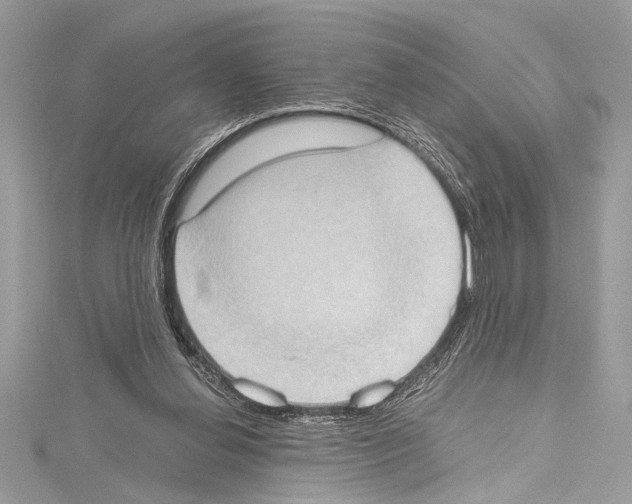 X0000114680252200912021121