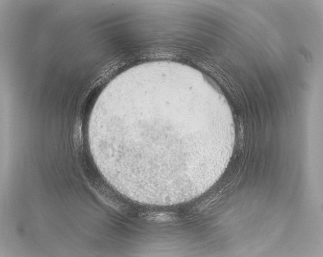 X0000114680254200912021121