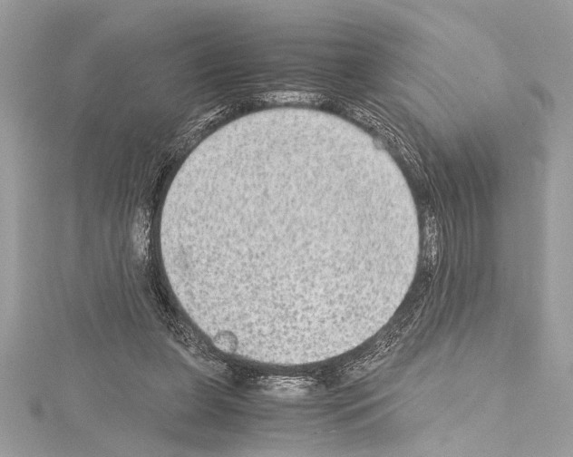 X0000114680255200912021121