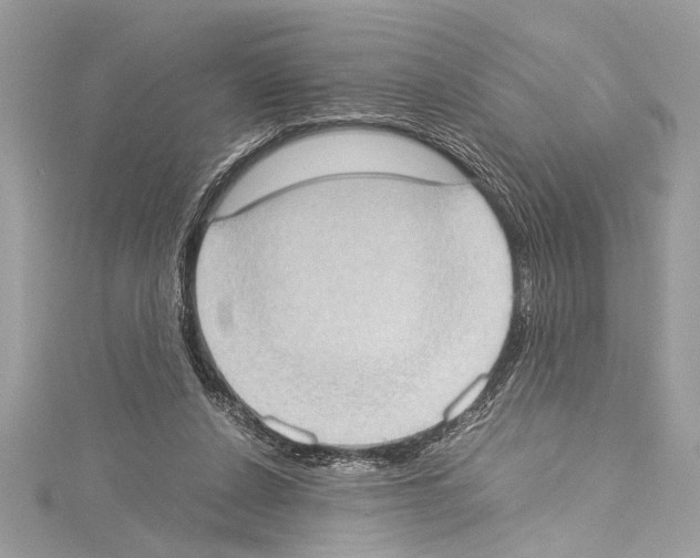 X0000114680256200912021121