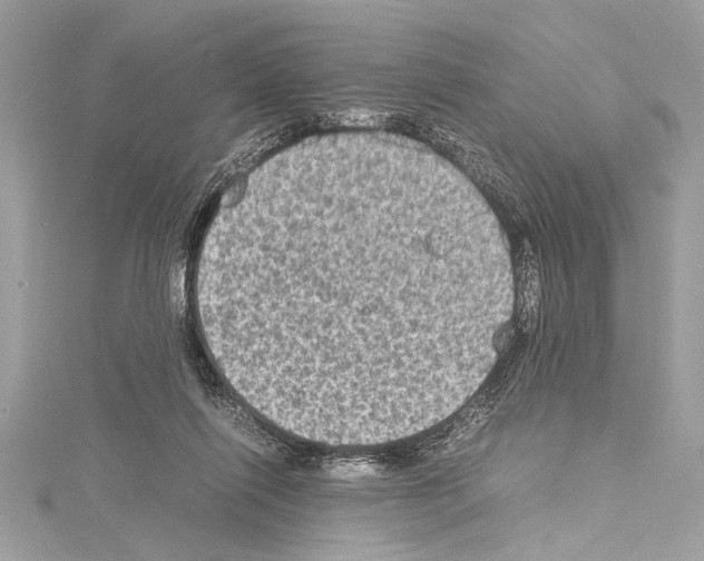 X0000114680262200912021121