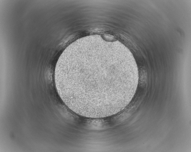 X0000114680282200912021121