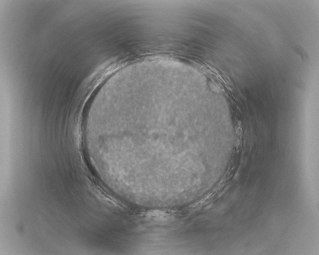 X0000114680290200912021121