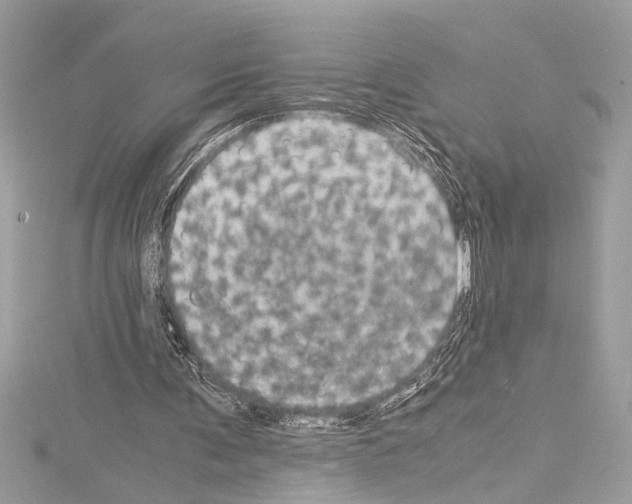 X0000114680291200912021121