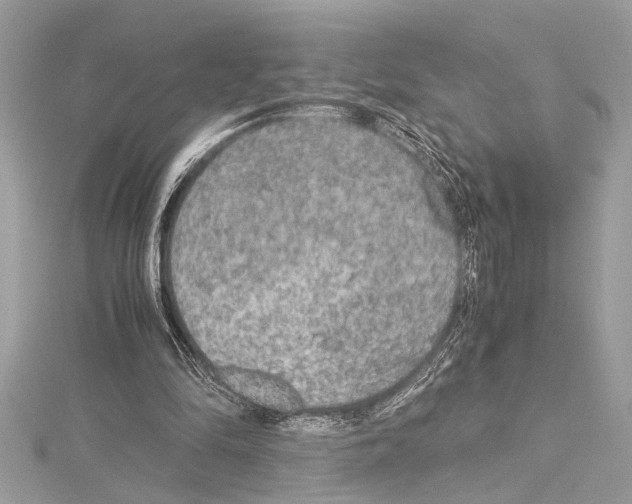 X0000114680294200912021120