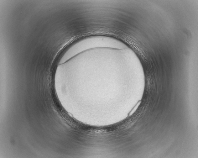 X0000114680304200912021120