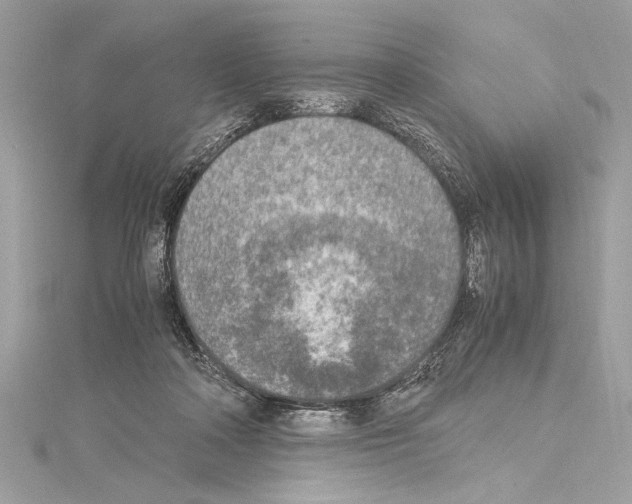 X0000114680314200912021120