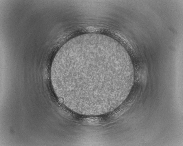 X0000114680317200912021120
