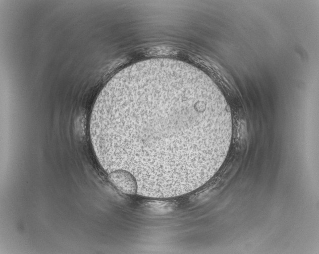 X0000114680326200912021120