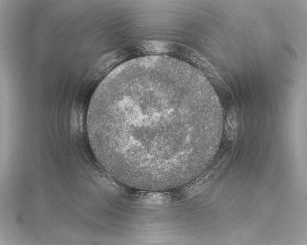 X0000114680330200912021120