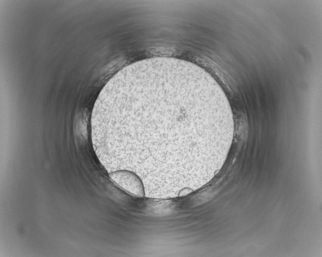 X0000114680334200912021120