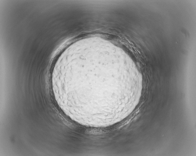 X0000114680341200912021119