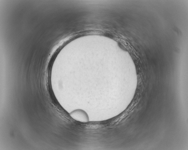 X0000114680342200912021119