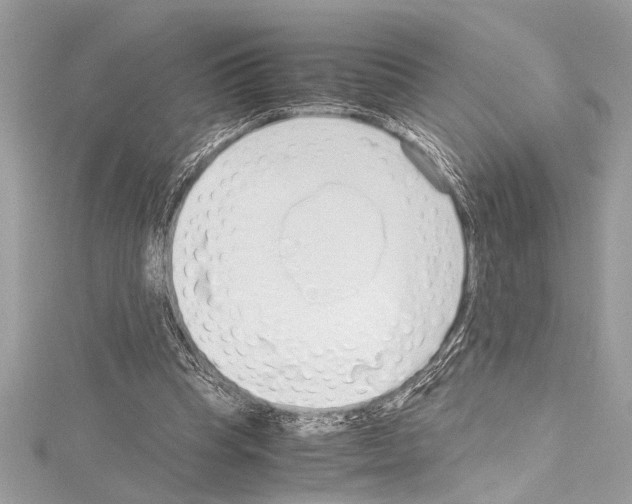 X0000114680345200912021119
