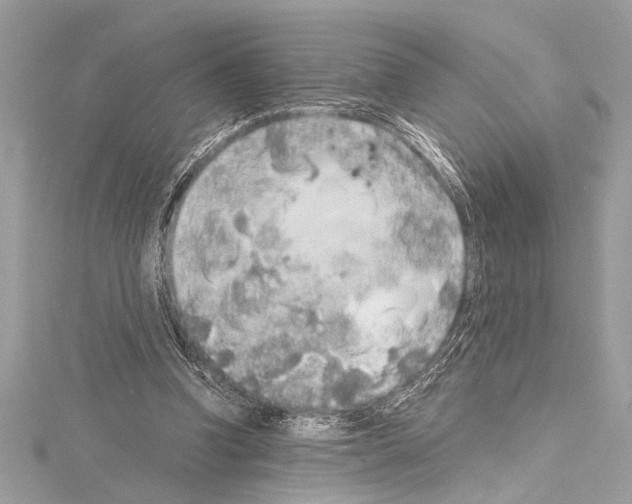 X0000114680346200912021119