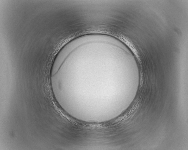 X0000114680385200912021119