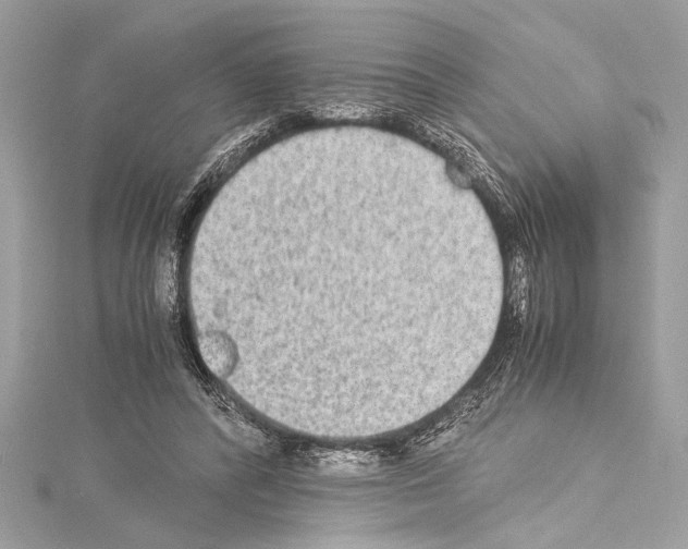 X0000114680400200912021119