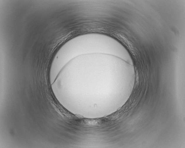 X0000114680405200912021119