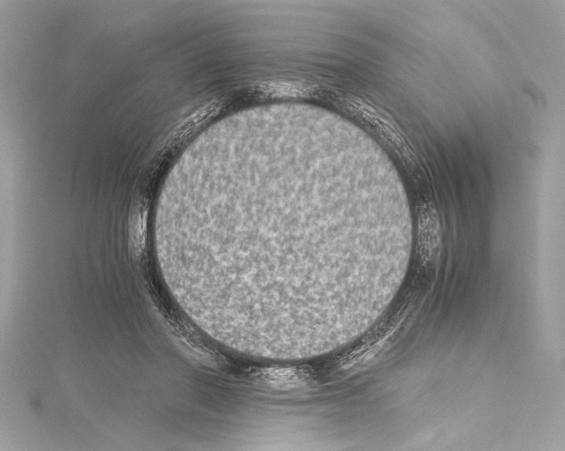 X0000114680406200912021119