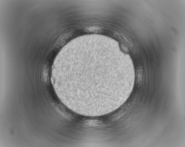 X0000114680408200912021119