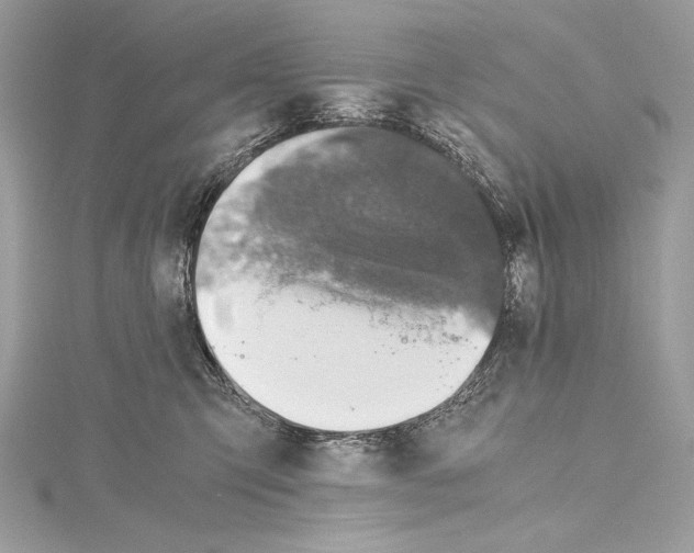 X0000114680423200912021119